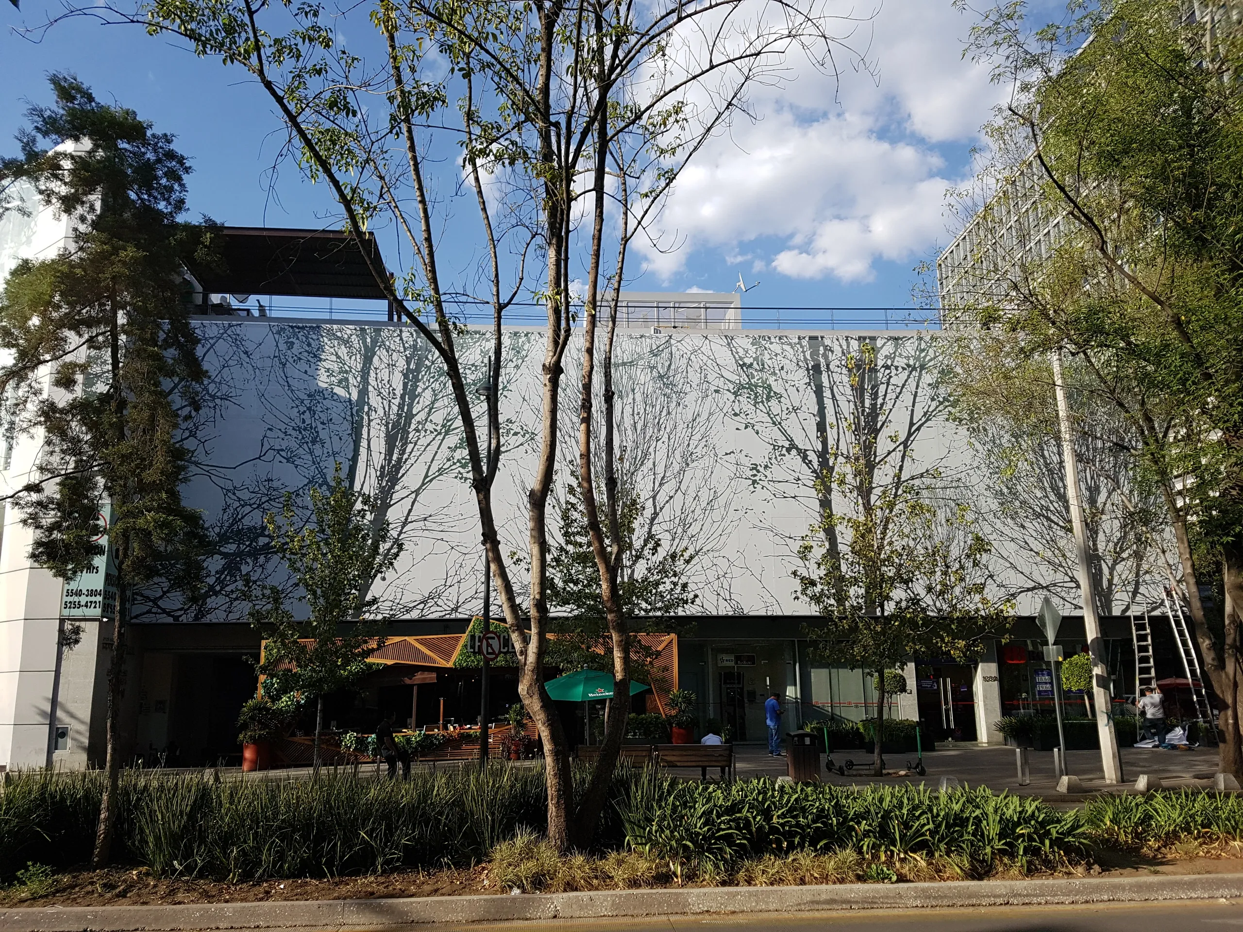 MASARYK — imagen 9